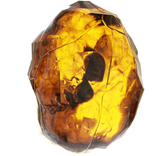 a wasp in amber
